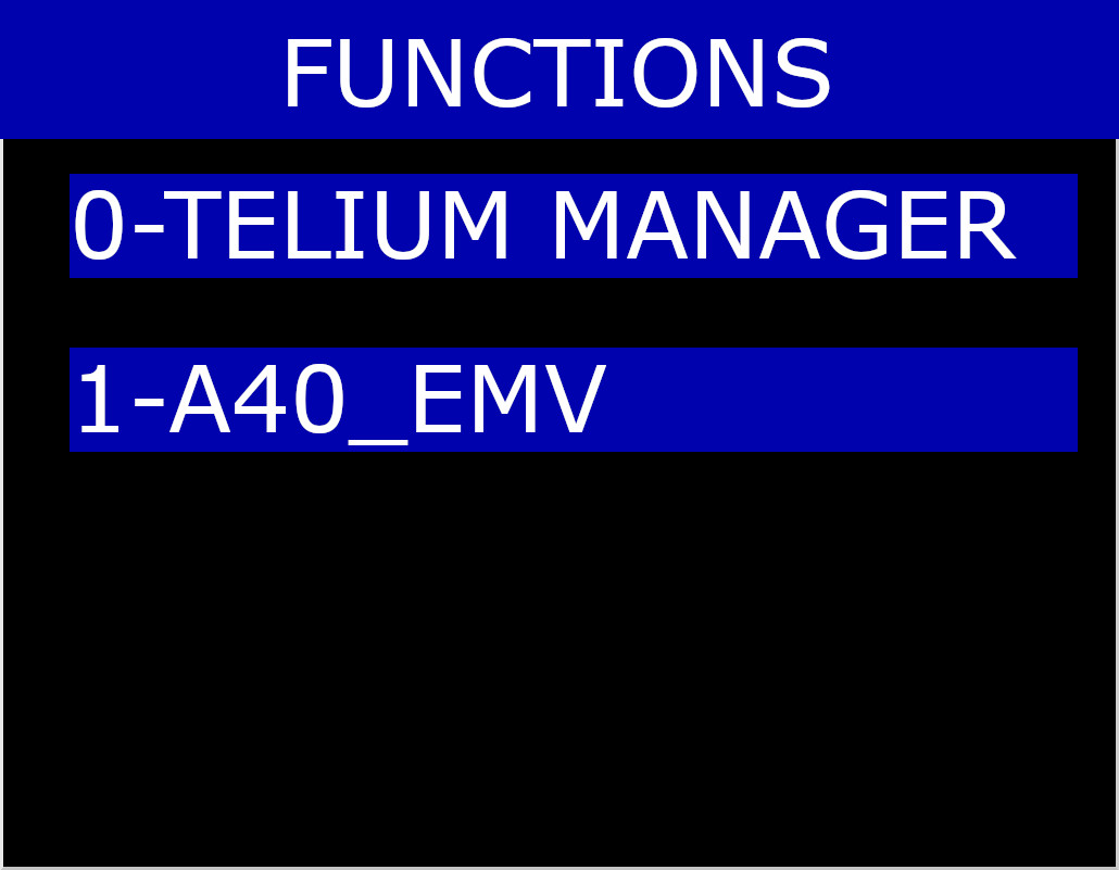 Functions Menu on Telium Manager