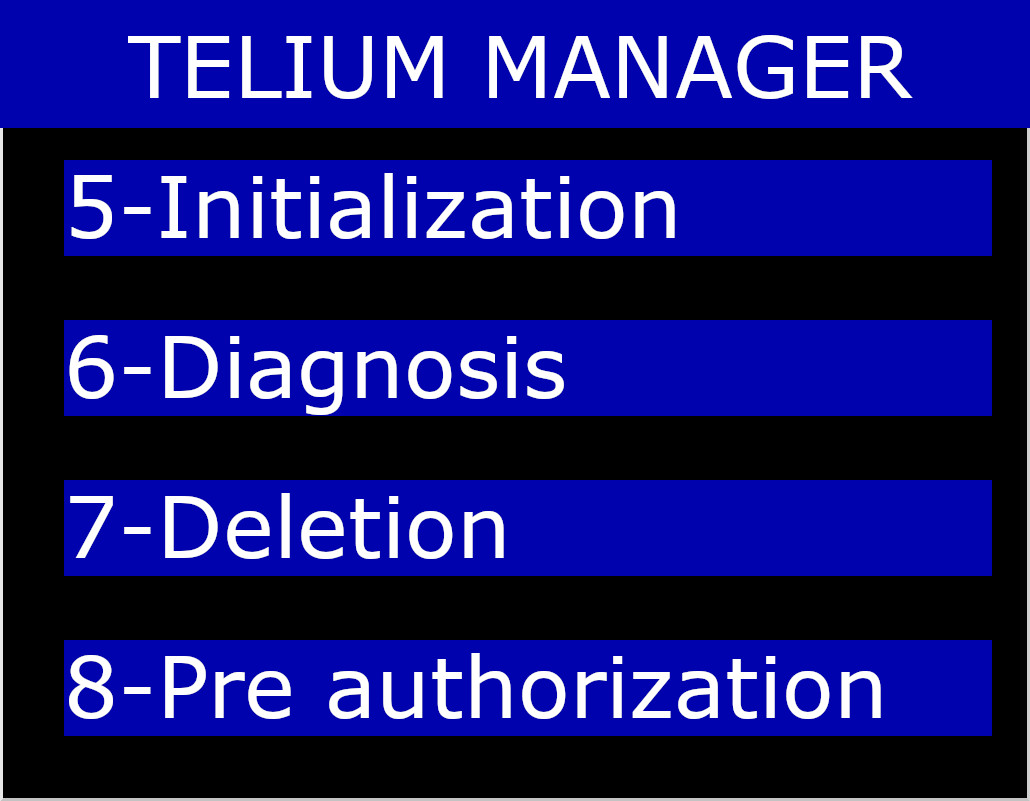 Telium Manager Menu on Initialization